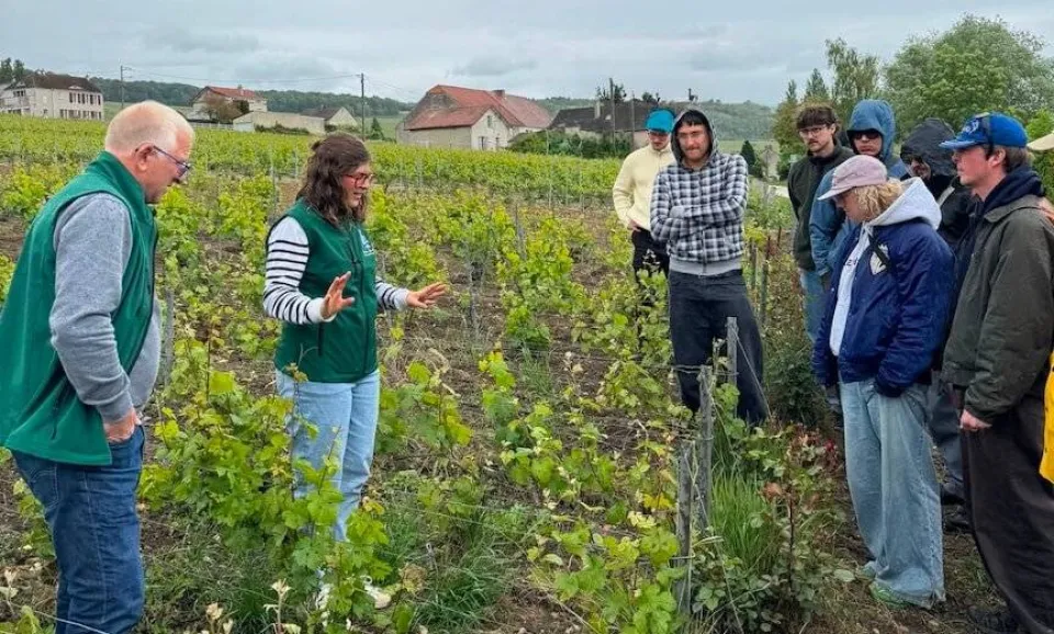 Ambacht van het biologische terroir