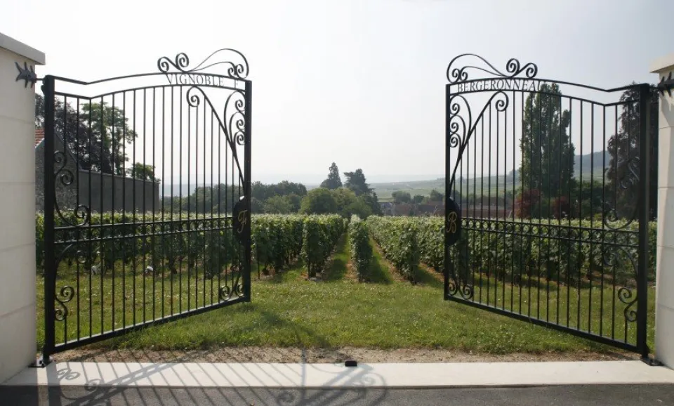 Wijngaard bezoek & Proeverij (Engelstalig)