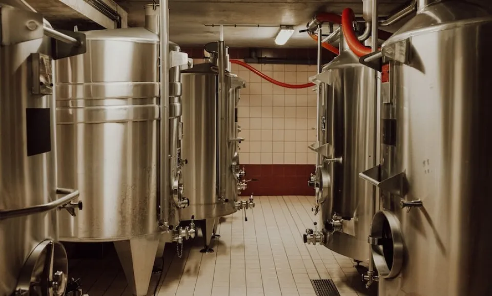 The birth of Champagne (English guided)