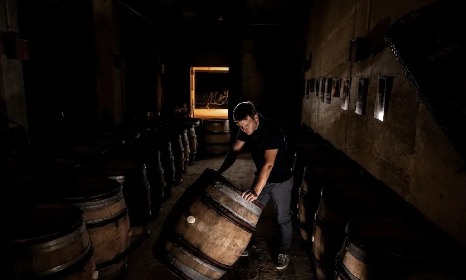 Visite du domaine et dégustation de 6 Champagnes