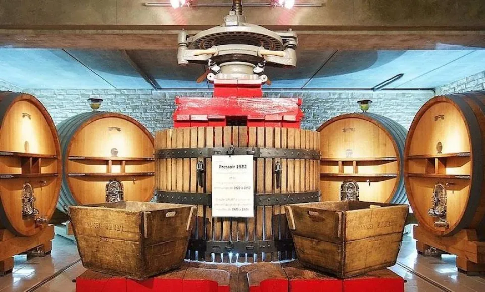 Tour & tasting of 3 Champagnes