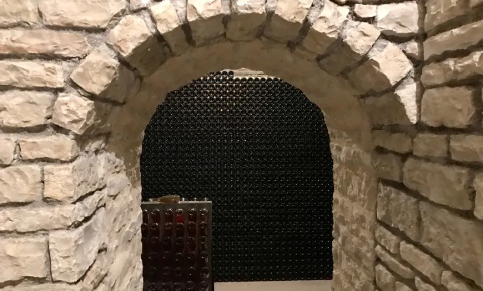 Tour & tasting of 2 Millésimé Champagnes