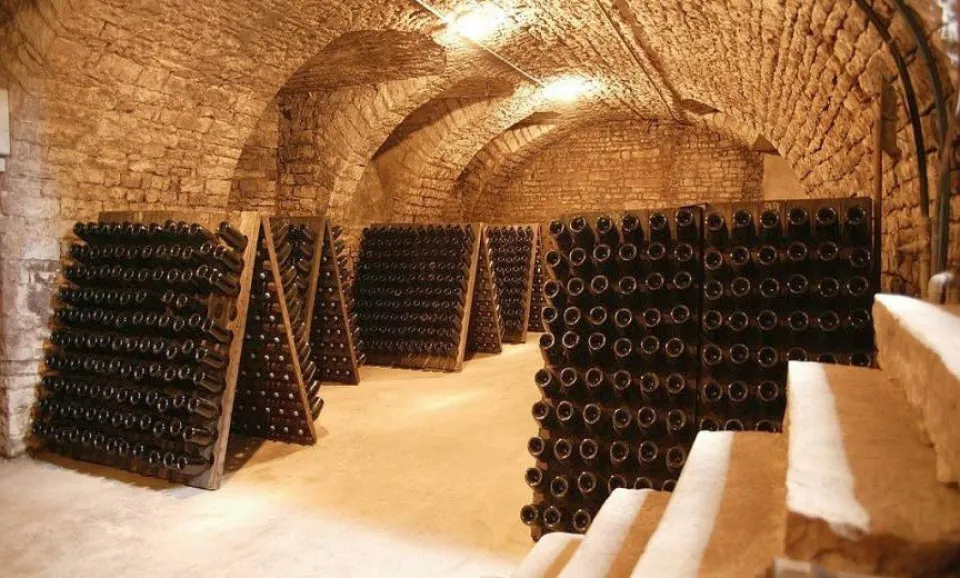 Visite et dégustation 3 Champagnes (anglais)