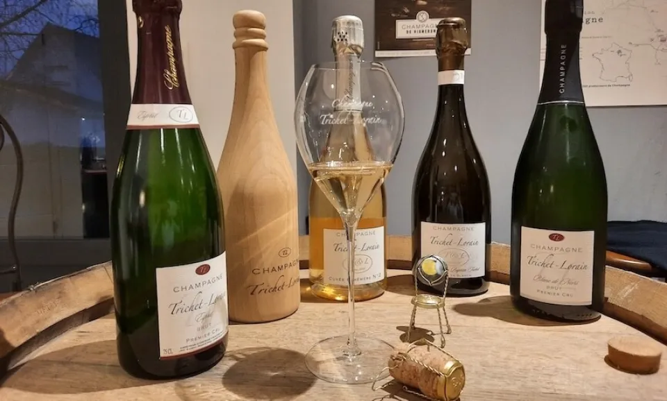 Masterclass (private)