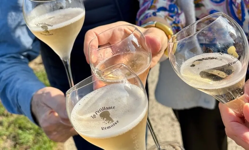 Full-day Champagne Tour (private)