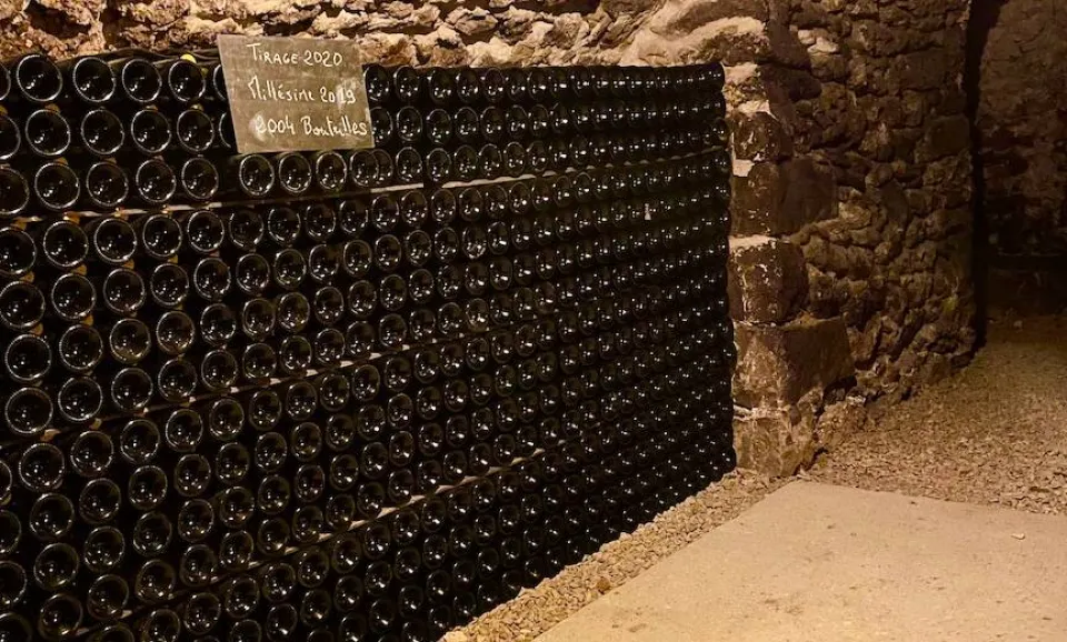 Dégustation de 3 Champagnes