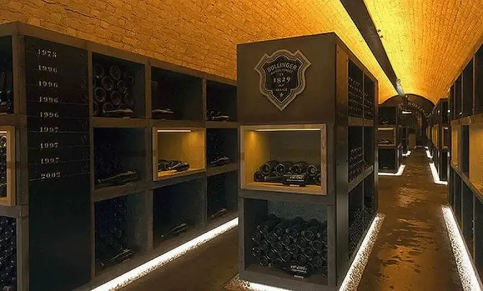 Discovery (Visite guidée en anglais)