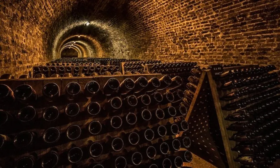 Le Goût du Temps (Visite guidée en français)