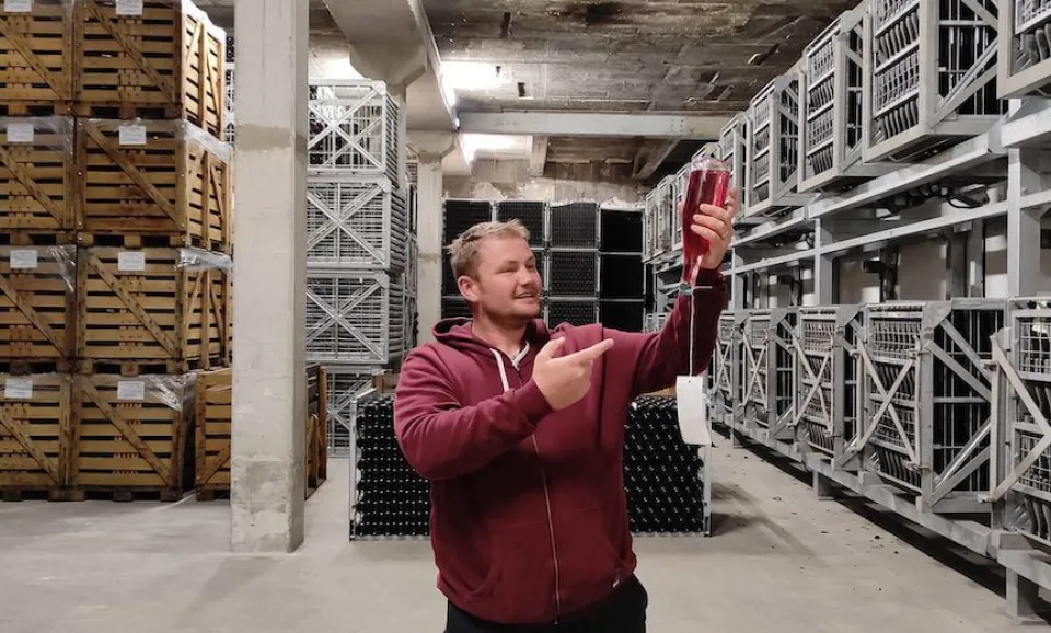 Visite et dégustation