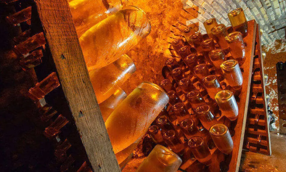 Collection (Visite guidée en anglais)