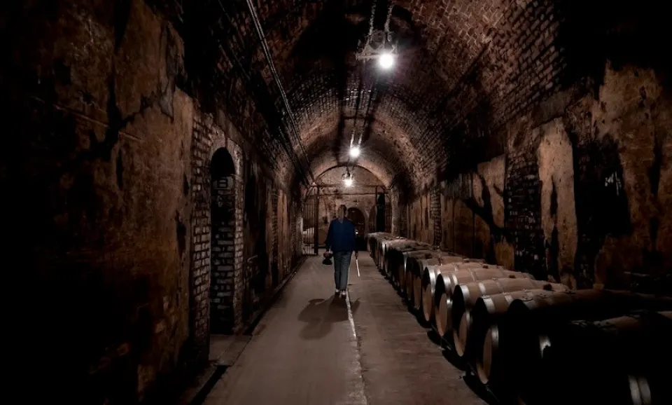 L'éveil des sens (anglais)