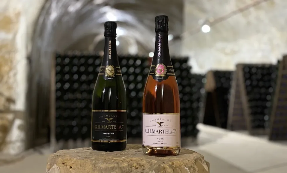 2025 - Discovery (English guided Tour)