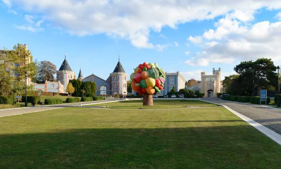 "Henry Vasnier" (Engelstalige Tour)