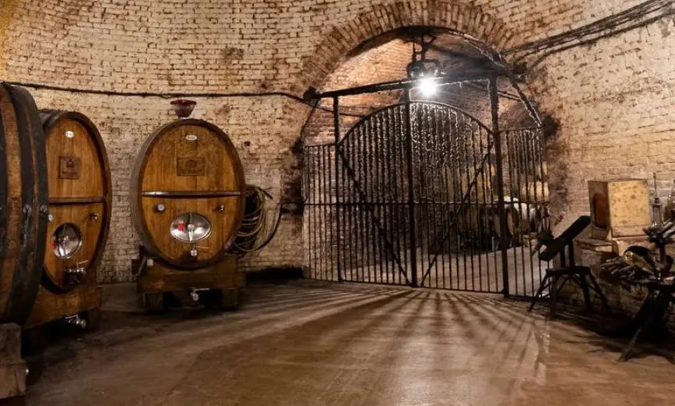 Ontdekking van het domein (Engelstalig)