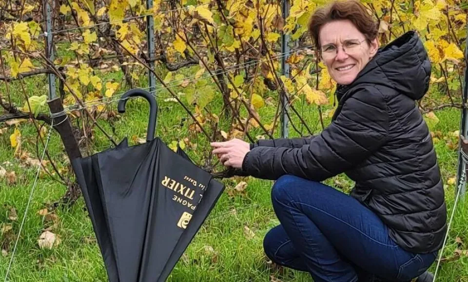 A la découverte des vignes de la Champagne