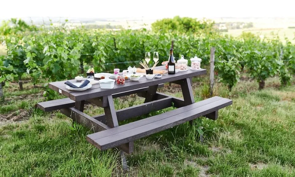 Picknick in de wijngaard (Engelstalig)