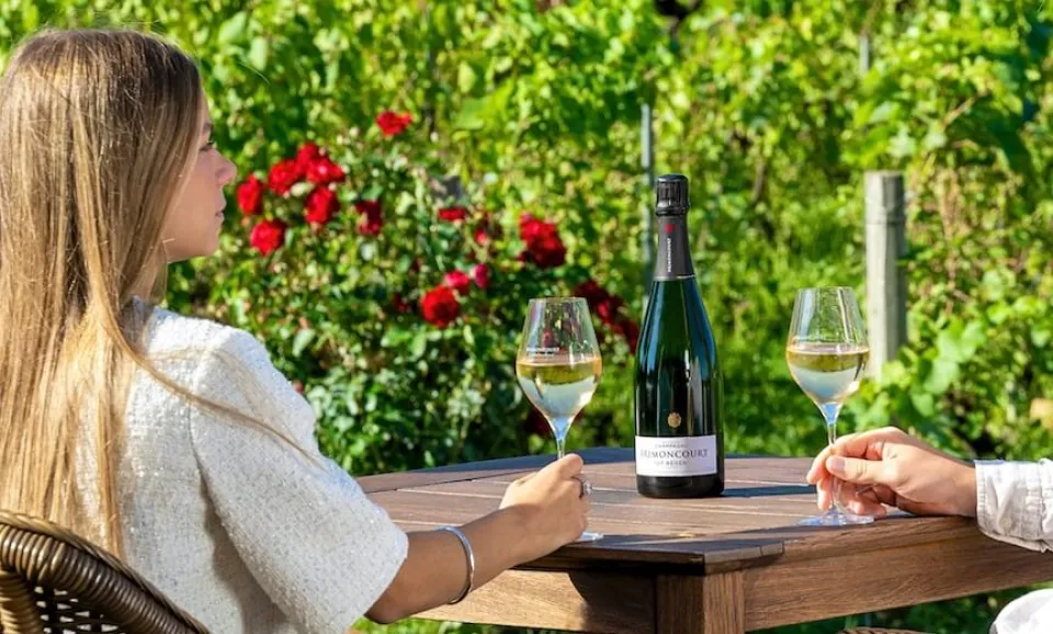 Privé bezoek domein & proeverij 4 Champagnes