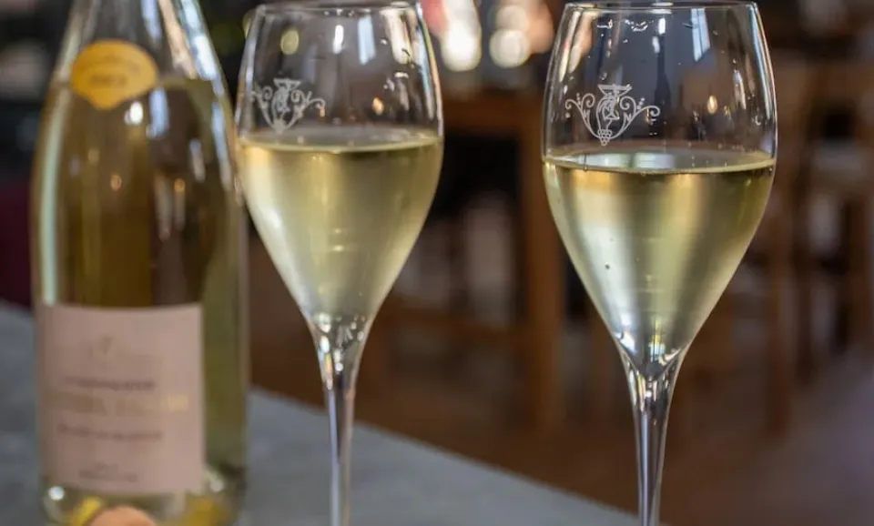 Dégustation "Découverte"