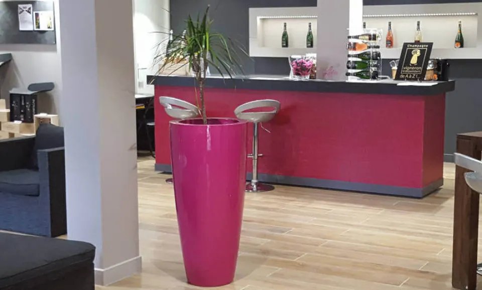 Proeverij van 2 Champagnes