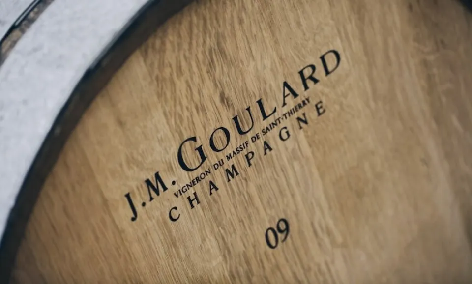 Dégustation de 3 champagne BIO