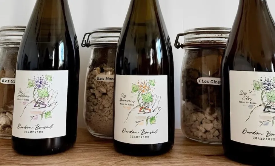 Proeverij van 2 biologische champagnes