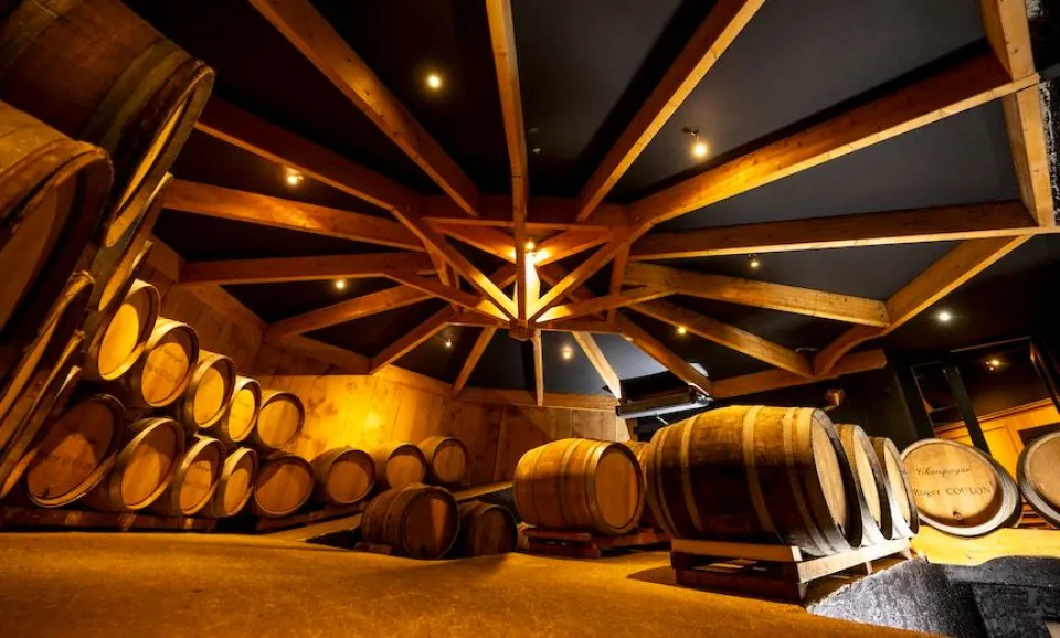 Tour & tasting of 4 Champagnes (French guided)