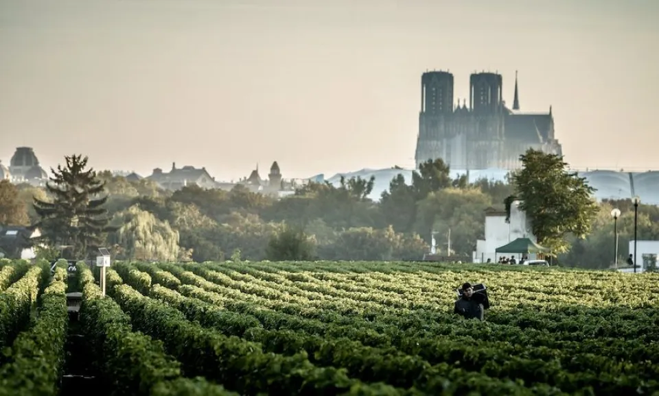 The Original Creation (English guided Tour)