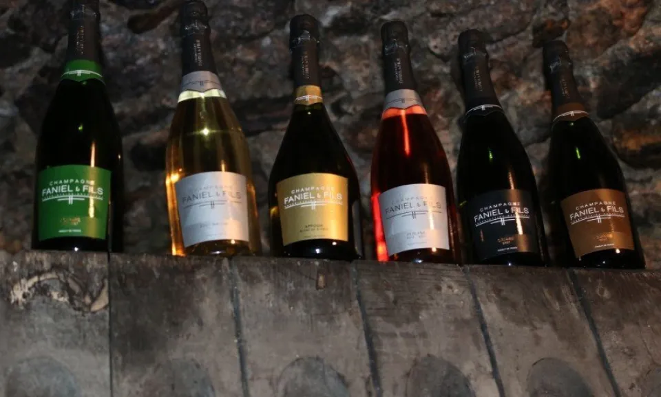 Tour estate and Tasting 5 Champagnes