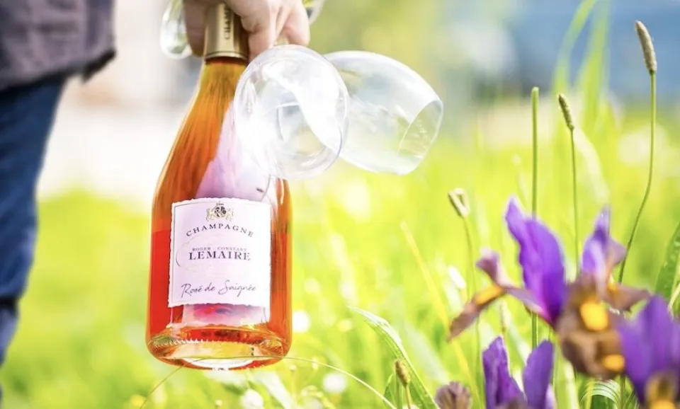 Tasting of 4 rare & atypical  Champagnes