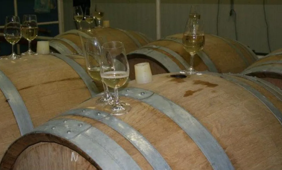 Tour & Tasting (3x classic champagnes)