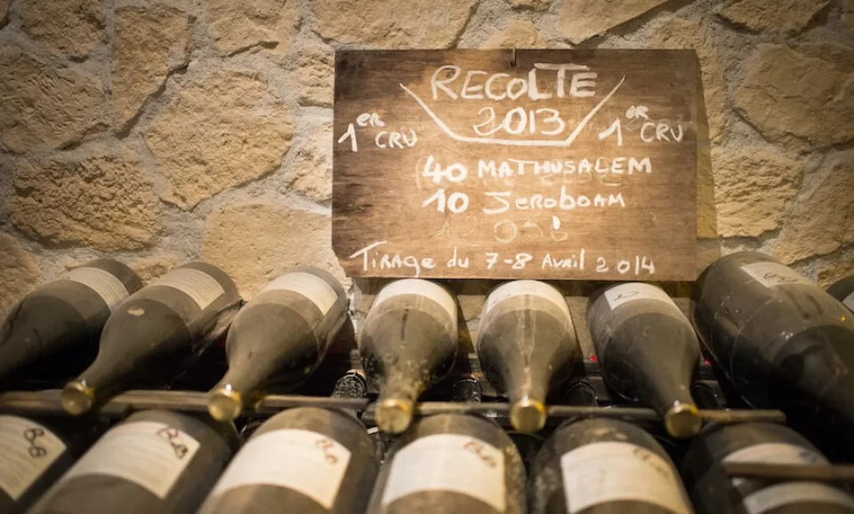 Tour & Tasting of 4  Champagnes