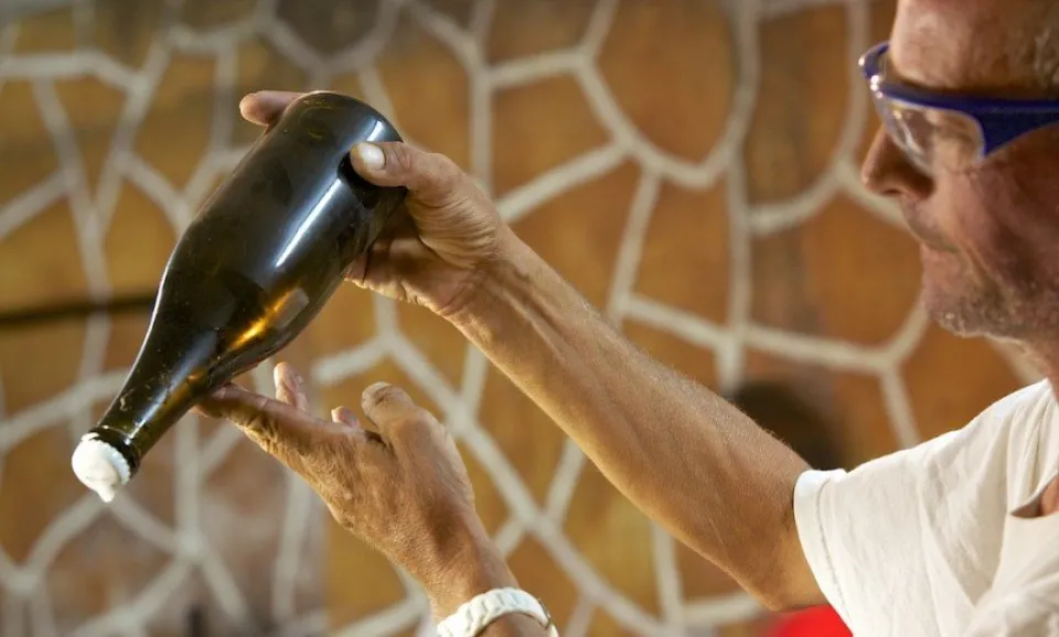 Tour & Tasting of 7 Champagnes