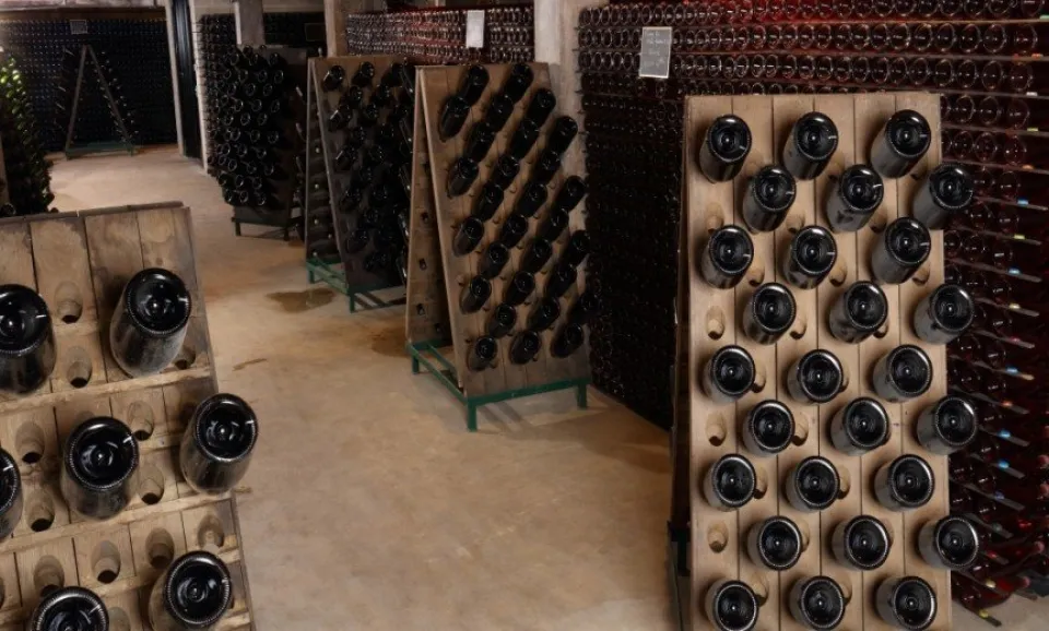 Visite et dégustation + visite du vignoble (2h15)