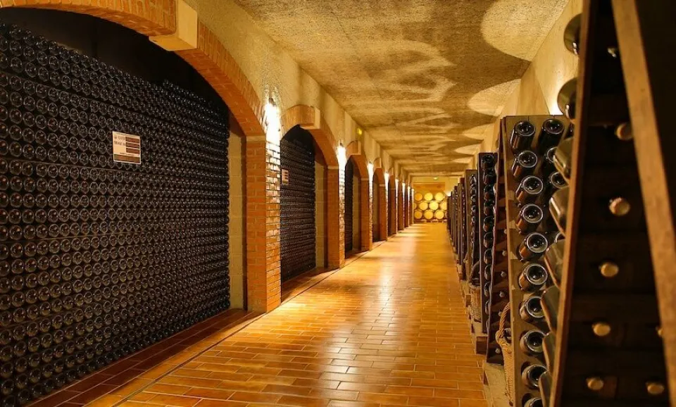 Tour & proeverij van 4 Champagnes