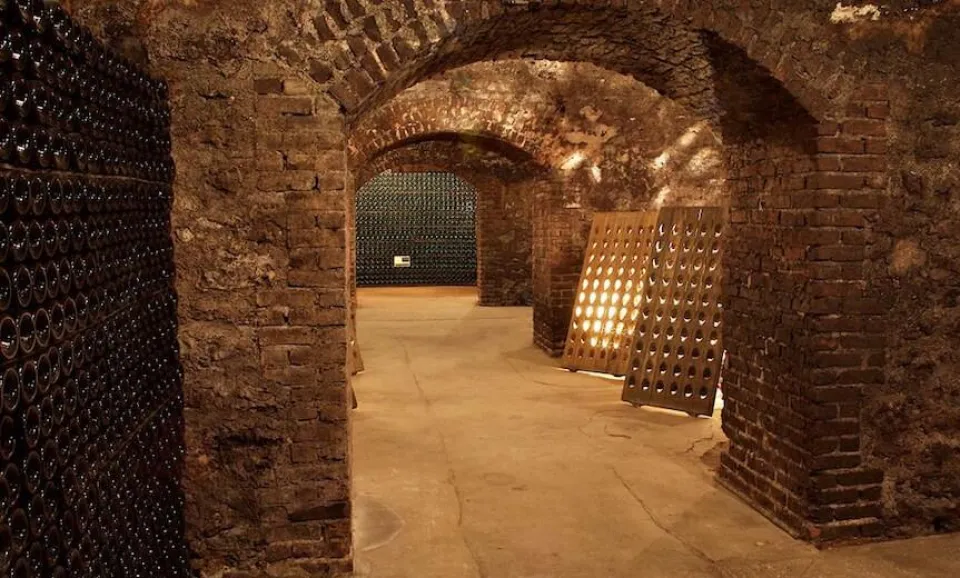 Signature Tour (Engelstalig)