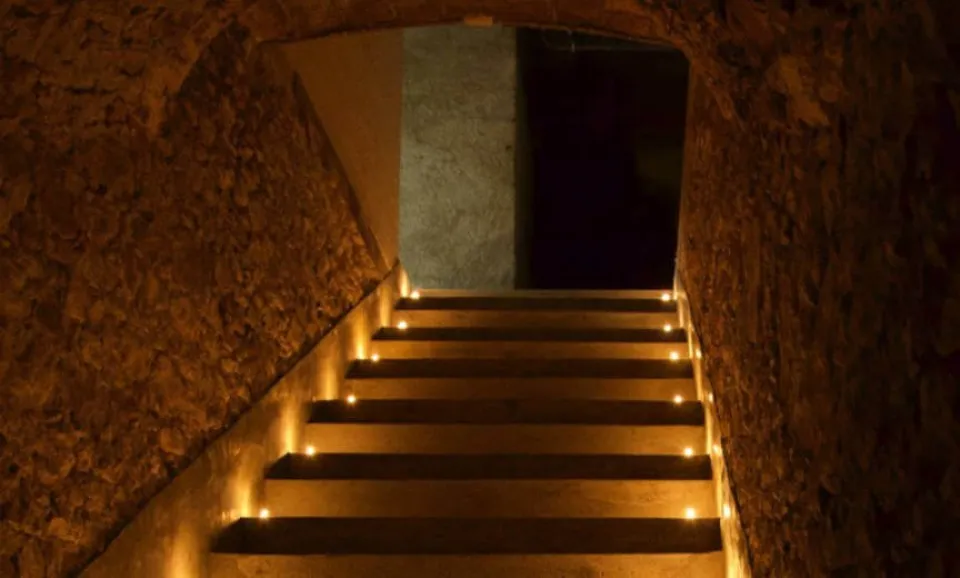 Tour & Tasting 2 cuvées