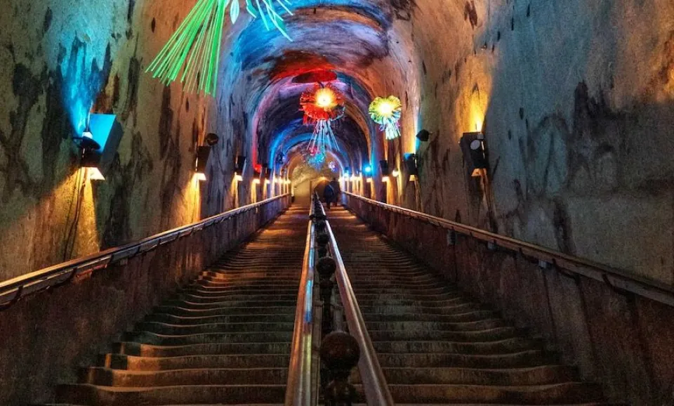 Grand Cru Vintage 2015 (English guided Tour)