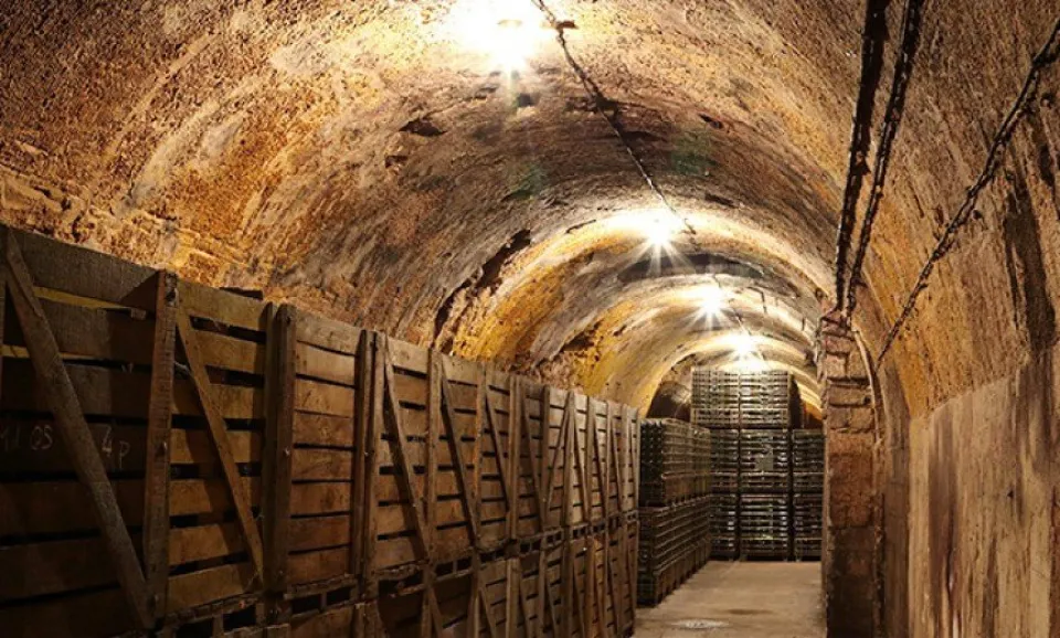 Visite et dégustation 2 Champagnes