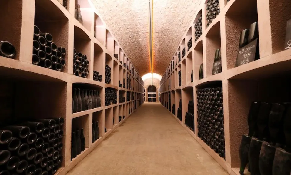 The Vintage (English guided Tour)