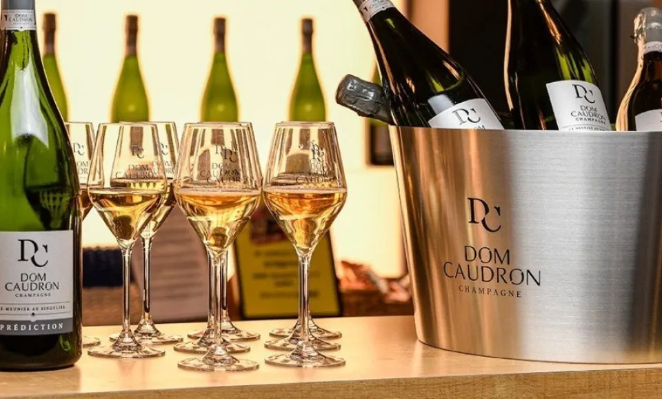 L'Expérience Meunier (Visite guidée en anglais)