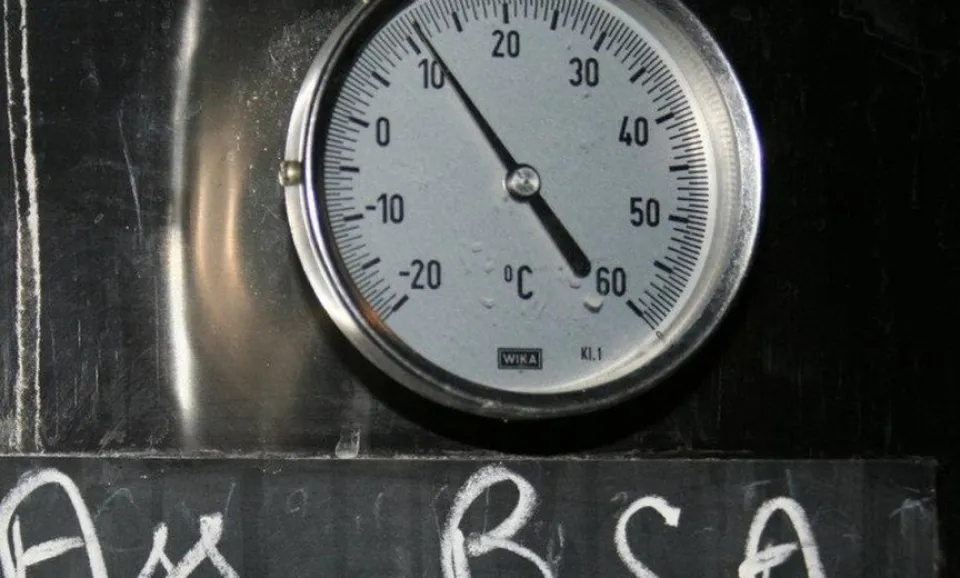 Tour & Tasting (3x excellent champagnes)