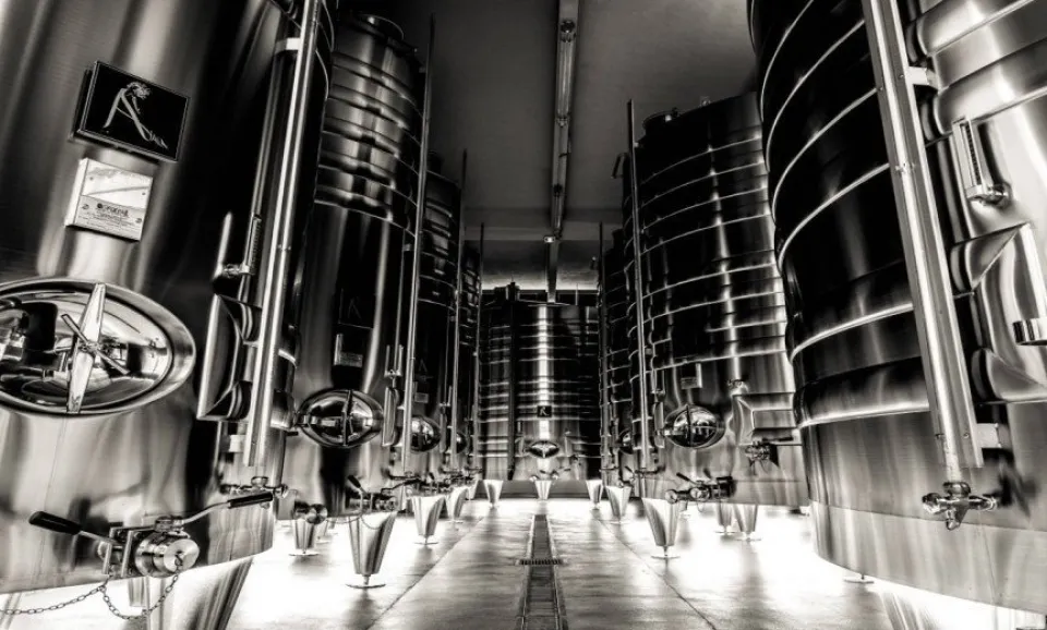 The AYALA experience - (English guided Tour)