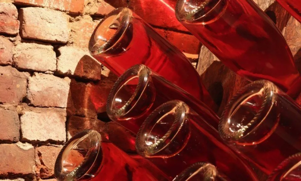 Tour & Tasting "Terroir"