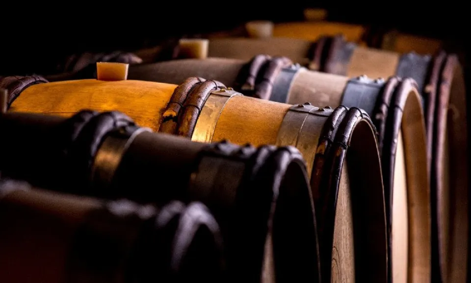 Immersion – (Visite guidée en anglais)