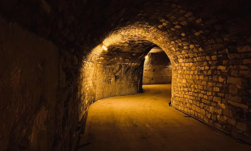 Tour & tasting of 1 champagne