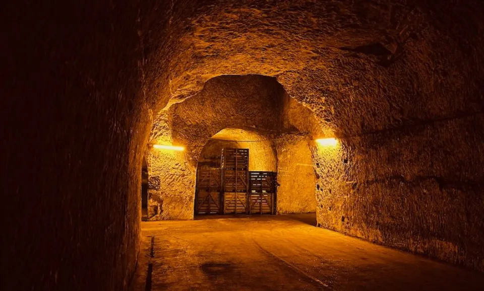 Gallo-Roman Chalk Quarry Tour (UNESCO) + 2 Tastings