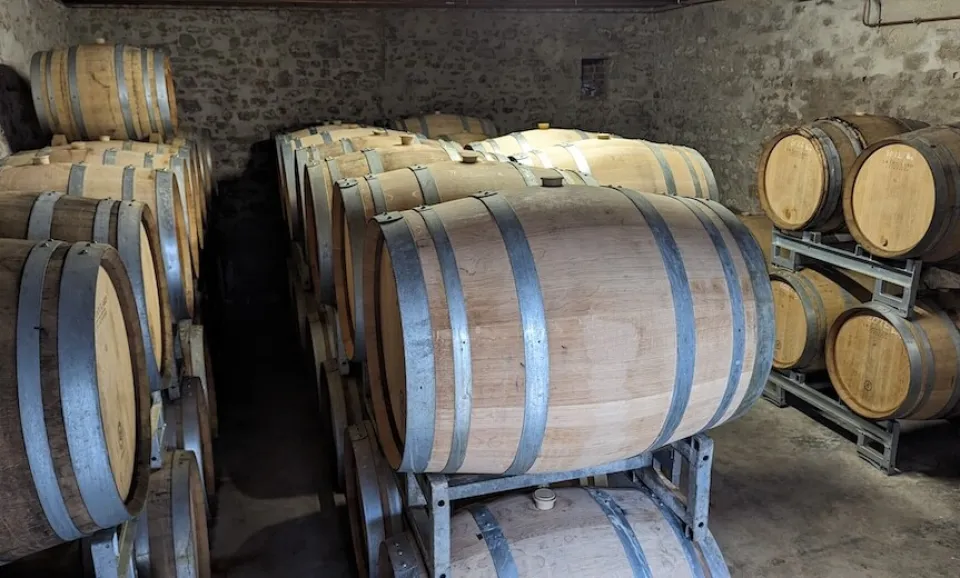 Visite et dégustation de 2 champagnes rosé