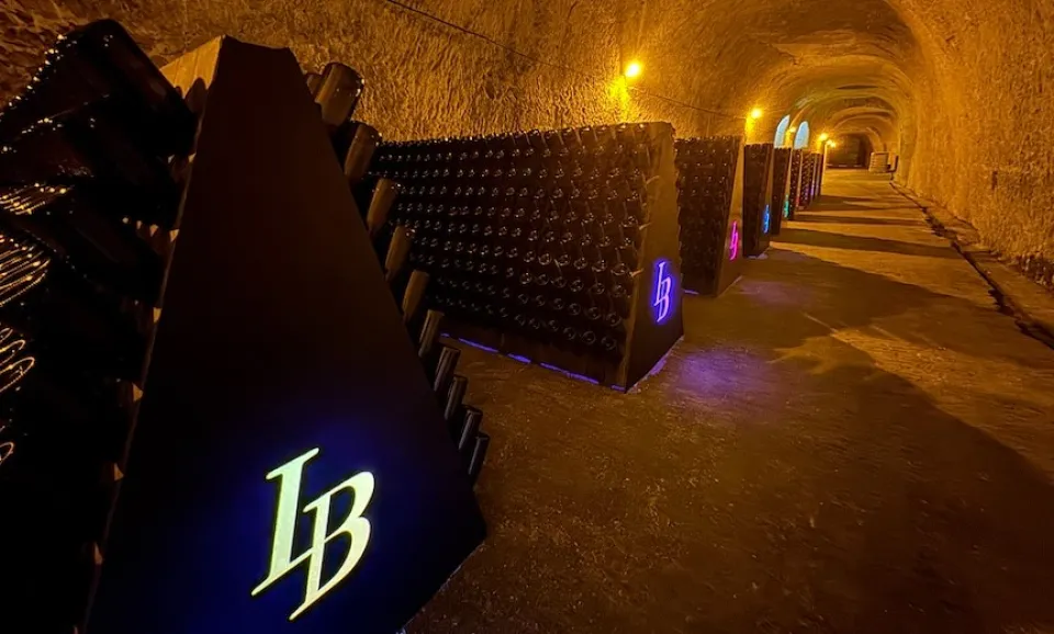 Gallo-Roman Chalk Quarry Tour (UNESCO) + 3 Tastings