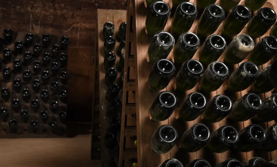 Visite & dégustation de 3 champagnes