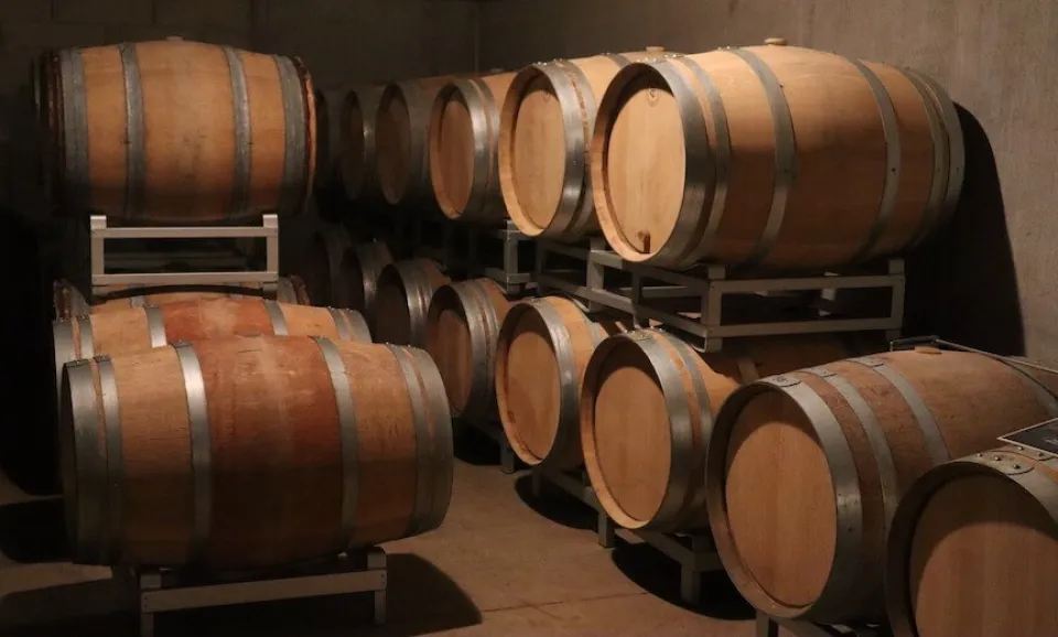 Visite et dégustation de 3 Champagnes